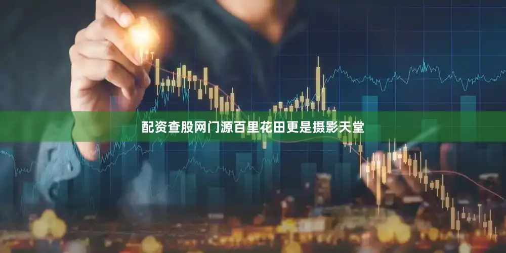 配资查股网门源百里花田更是摄影天堂