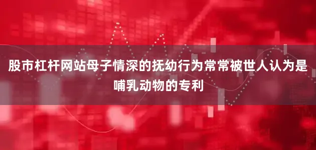 股市杠杆网站母子情深的抚幼行为常常被世人认为是哺乳动物的专利