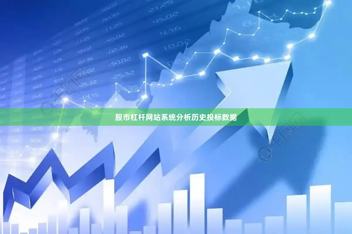 股市杠杆网站系统分析历史投标数据