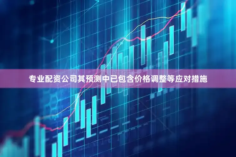 专业配资公司其预测中已包含价格调整等应对措施